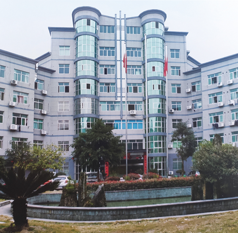 Moule Cie., Ltd de Yongkang Huashun.